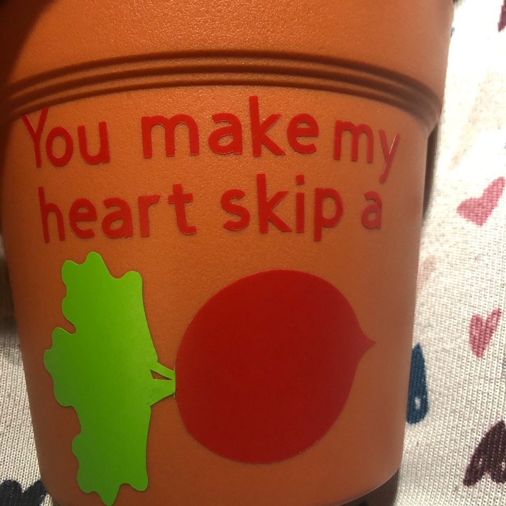 6 inch plastic pot with Cute saying